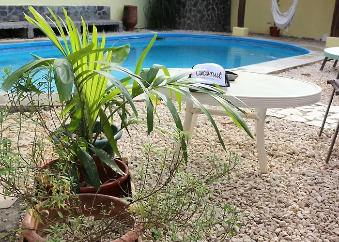 Coconut House *